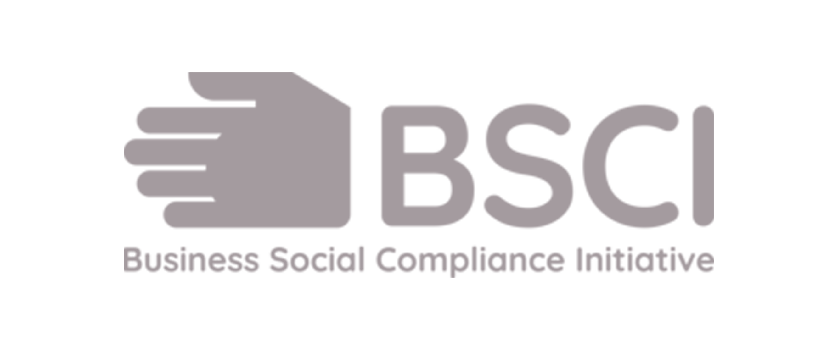 01 BSCI Logo Contact Page
